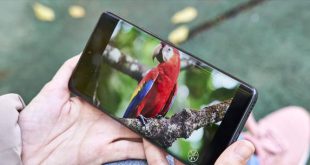 Vlogging creativo: el nuevo smarthphone de Huawei que permite grabar con la cámara principal y de selfie en simultáneo