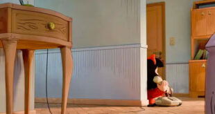 ‘Mafalda’ llega a Netflix en 2027 y la primera imagen ya desata furor