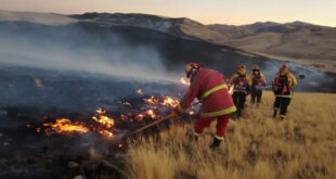 Este contenido puede reproducirse citando a la Agencia Andina ©️ Editora Perú  Extinguen incendios forestales en distritos de Cusco, Ayacucho, Puno, Piura y Huancavelica  Lea más en: https://andina.pe/agencia/noticia-extinguen-incendios-forestales-distritos-cusco-ayacucho-puno-piura-y-huancavelica-1095392.aspx